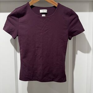 Aritzia Contour Plum Second Skin Tee Small Fitted Top Minimalist